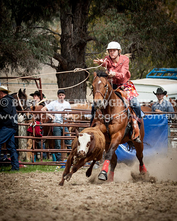 Saturday Cowboys -600