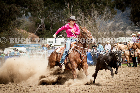 Saturday Cowboys -604