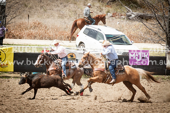 Saturday Cowboys -847