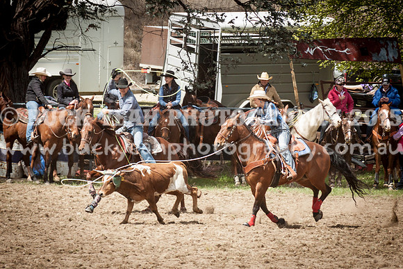 Saturday Cowboys -852