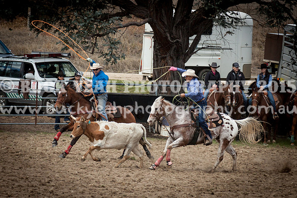 Saturday Cowboys -870