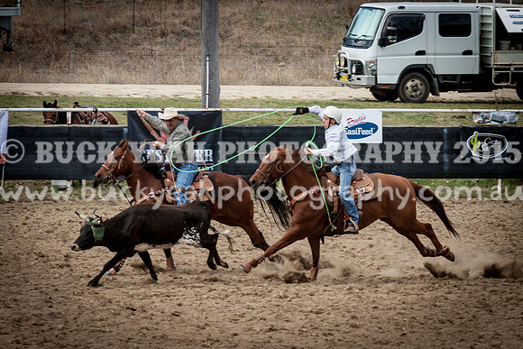 Saturday Cowboys -875