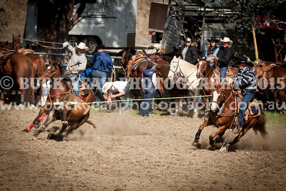 Saturday Cowboys -941