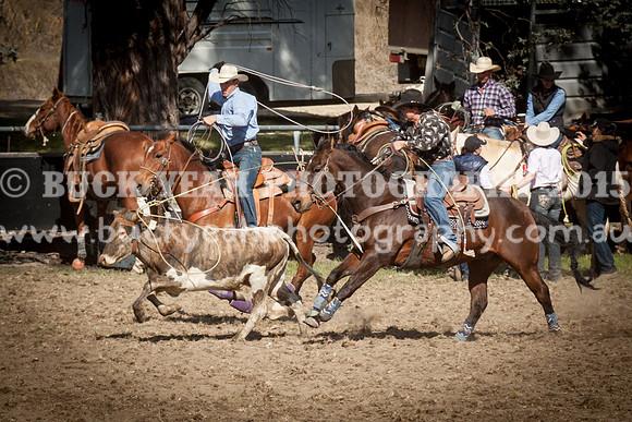 Saturday Cowboys -950
