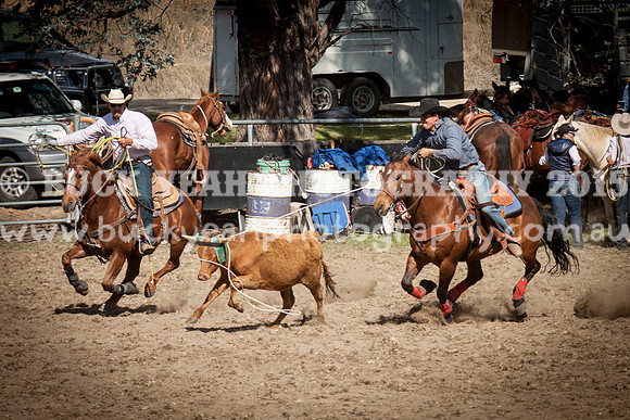 Saturday Cowboys -951
