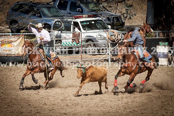 Saturday Cowboys -952