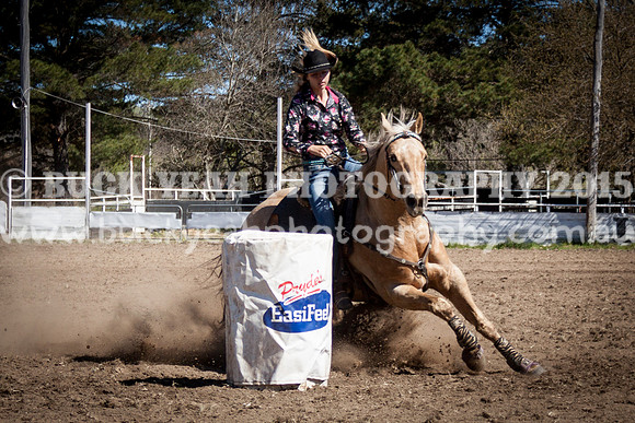 Sunday Cowboys -1