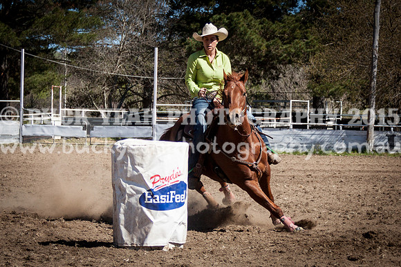 Sunday Cowboys -7