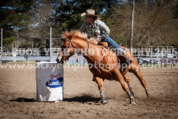 Sunday Cowboys -11