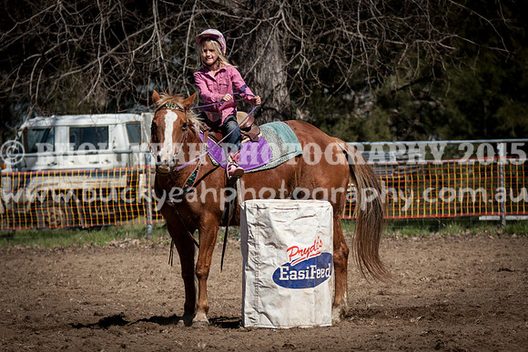 Sunday Cowboys -14