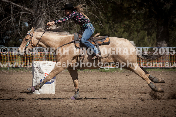 Sunday Cowboys -3