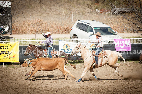 Saturday Cowboys -968