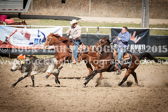 Saturday Cowboys -970