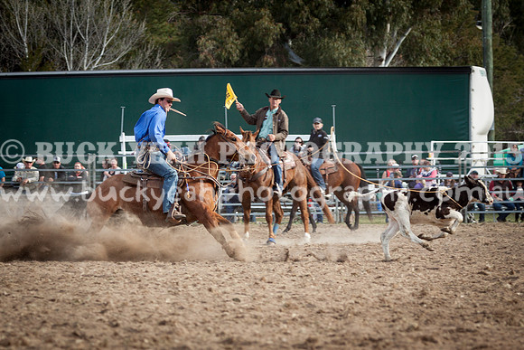 Saturday Cowboys -977