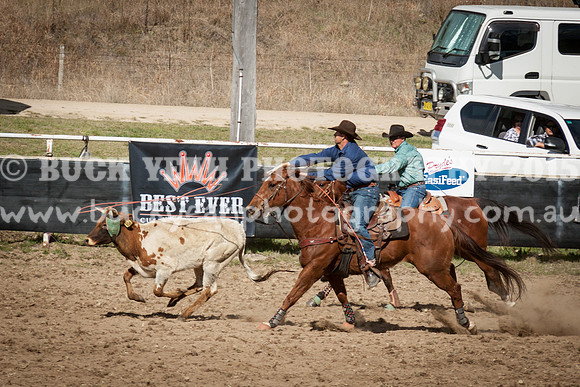 Saturday Cowboys -980