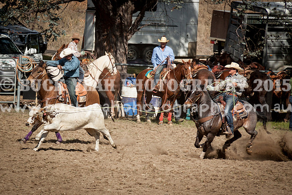 Saturday Cowboys -991