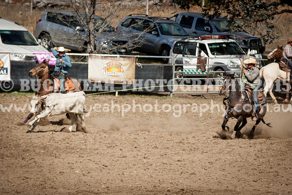 Saturday Cowboys -992
