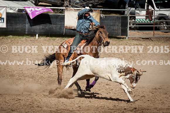 Saturday Cowboys -993