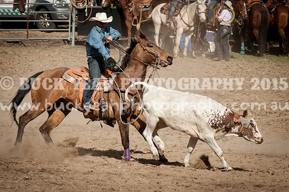 Saturday Cowboys -994