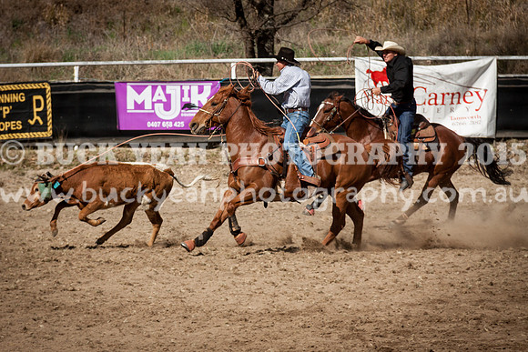 Saturday Cowboys -998