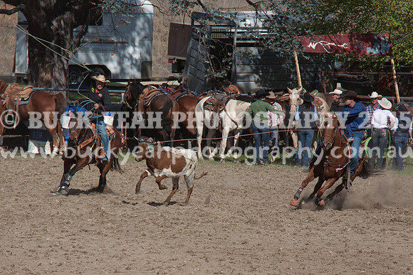 Saturday Cowboys -1043
