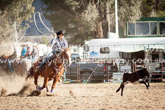Saturday Cowboys -1072