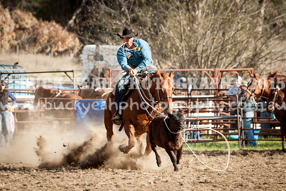 Saturday Cowboys -1075