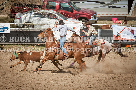 Saturday Cowboys -1085