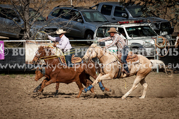 Saturday Cowboys -1087