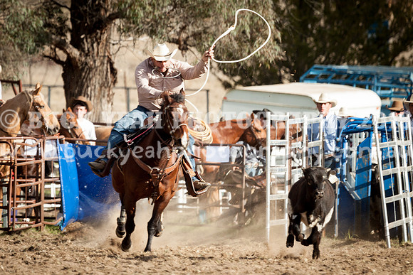 Saturday Cowboys -1100