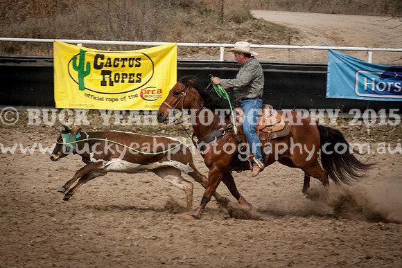 Saturday Cowboys -1111