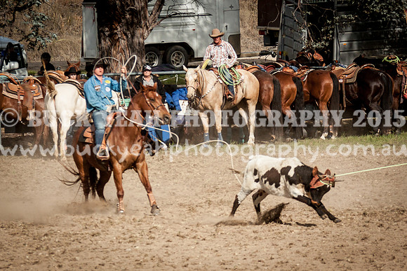 Saturday Cowboys -1125