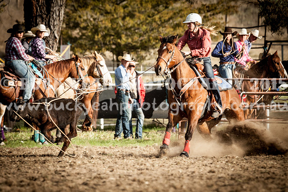 Saturday Cowboys -1130