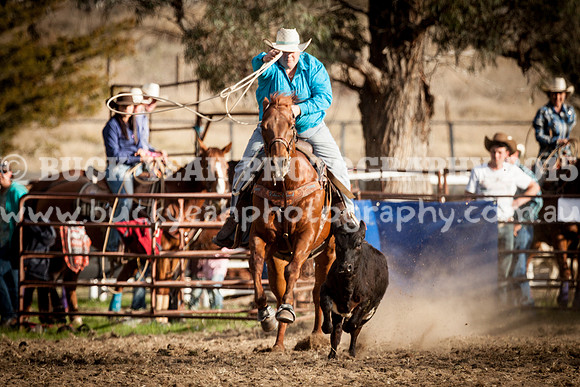 Saturday Cowboys -1133