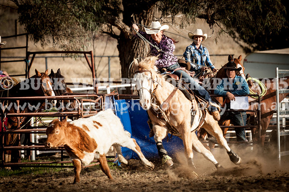 Saturday Cowboys -1136