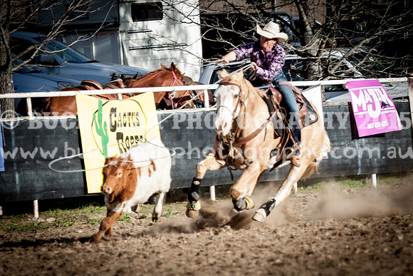 Saturday Cowboys -1137