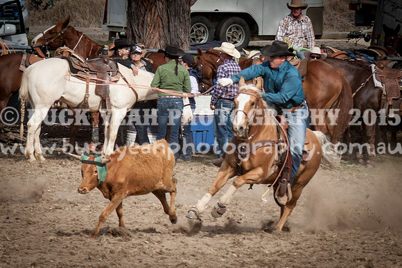 Saturday Cowboys -1144