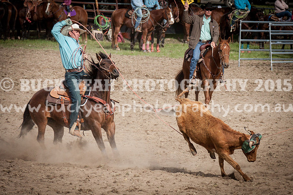 Saturday Cowboys -1145