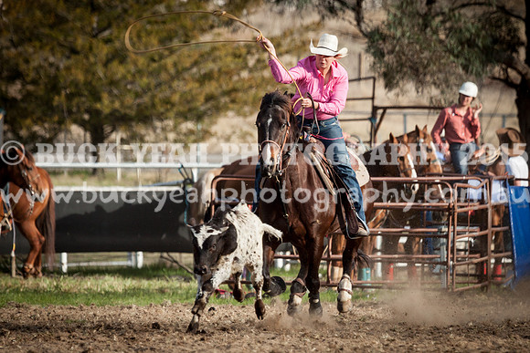 Saturday Cowboys -1154