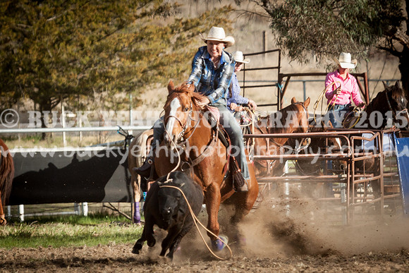 Saturday Cowboys -1153