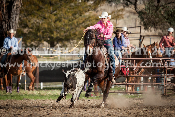 Saturday Cowboys -1155