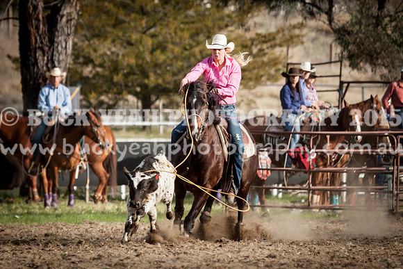 Saturday Cowboys -1156