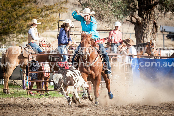 Saturday Cowboys -1157