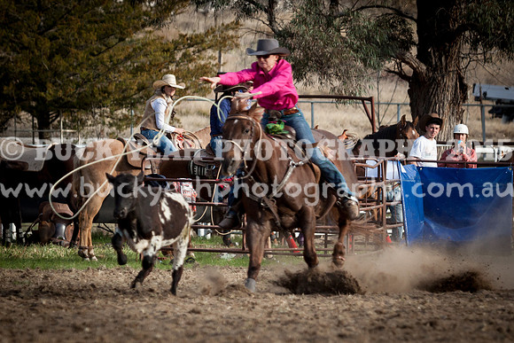 Saturday Cowboys -1160