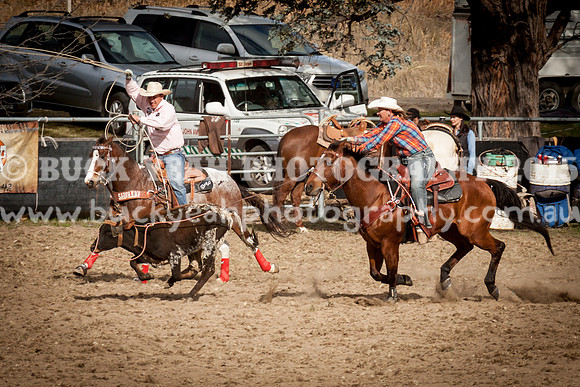Saturday Cowboys -1190