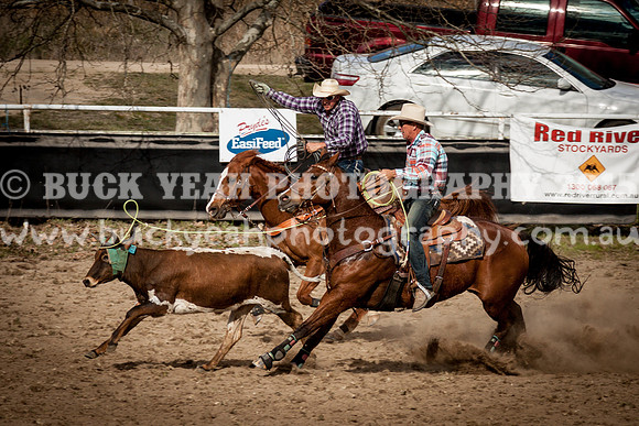 Saturday Cowboys -1197