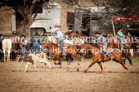 Saturday Cowboys -1199
