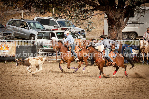 Saturday Cowboys -1200