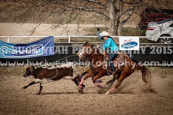 Saturday Cowboys -1247