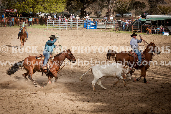 Saturday Cowboys -1250